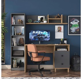 Masă PC Halinka (Nuc + antracit) . 1102174