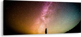 Tablou - cerul plin de stele (120x50 cm)