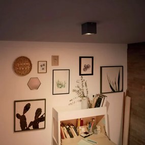 Spot LED MYLIVING BOX 1xLED/4,5W/230V Philips 50491/30/P0