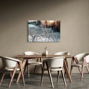 Tablou - Pajiște înghețată (90x60 cm)