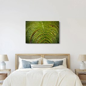 Tablou - Fern (90x60 cm)