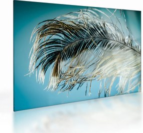 Tablou pe sticlă cu pană (70x50 cm)
