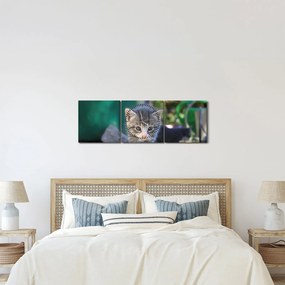 Tablou cu pisicuțe (cu ceas) (90x30 cm)