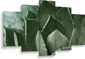 Tablou - Agave verde (150x105 cm)