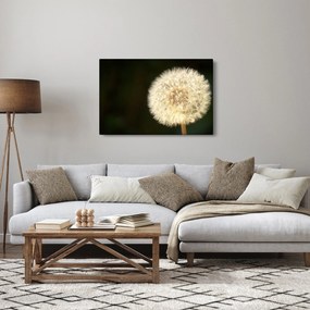 Tablou cu păpădie gri (90x60 cm)