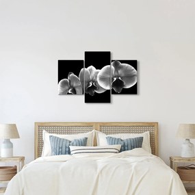 Tablou floare de orhidee (90x60 cm)