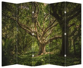 Paravan - Copaci (210x170 cm)