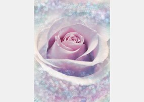 Fototapet, Mirajul luminii trandafirului roz. Art.01236