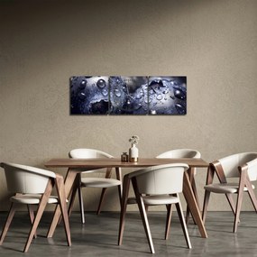 Tablou cu fructe cu picături de apă (cu ceas) (90x30 cm)