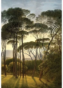 Foto tapet Copaci vechi 180 x 255 cm, 2 părți