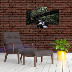 Tablou din pădurea neagră (90x60 cm)