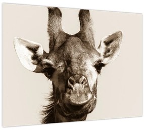 Tablou - Portret de girafă, de epocă (70x50 cm)