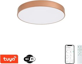Brilagi-LED Corp de iluminat reglabil POOL SMART LED 60 W/230 V, 50 cm, Wi-Fi Tuya, bronz + telecomandă