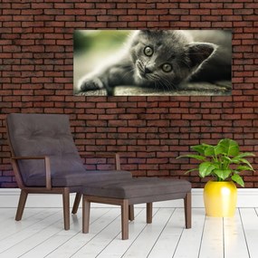 Tablou cu pisicuța (120x50 cm)