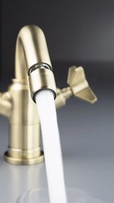 🚽 TEMISTO – Baterie pentru bideu – Cod BQT_M30D