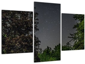 Tablou cu cerul nocturn (90x60 cm)