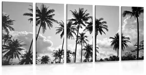 Tablou 5-piese palmieri de cocos pe plajă în design alb-negru