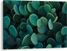 Tablou - Opuntia (70x50 cm)