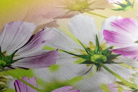 Tablou flori de vară