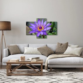 Tablou - Floare violet (90x60 cm)
