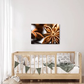 Tablou - Anason (70x50 cm)