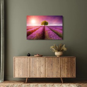 Tablou câmp cu lavandă (90x60 cm)