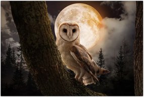 Tablou cu bufnița (90x60 cm)