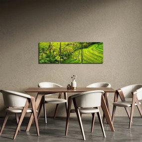 Tablou - Terase de orez (cu ceas) (90x30 cm)