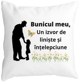 Perna Decorativa pentru Bunicul 5, 40x40 cm, Alba, Mata, Husa Detasabila, Burduf