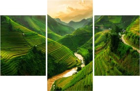 Tablou - Terase de orez Mu Cang Chai (90x60 cm)