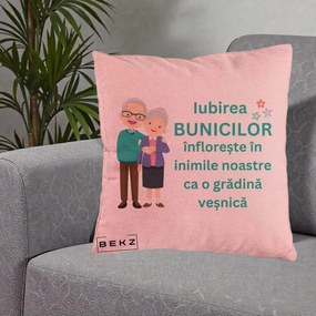 Cadou pentru Bunici - Perna Personalizata Bunicii Iubirea Infloreste Cuplu Senior Teal, 40x40 cm, Roz, Husa Detasabila, Perna Inclusa, BEKZ®
