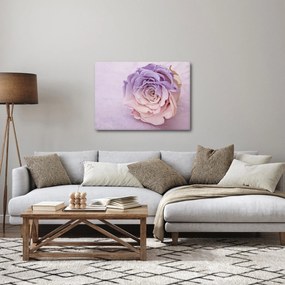 Tablou detaliu florii de trandafir (70x50 cm)