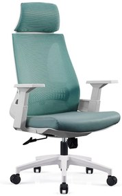 Scaun ergonomic Walker-H, Spătar Mesh