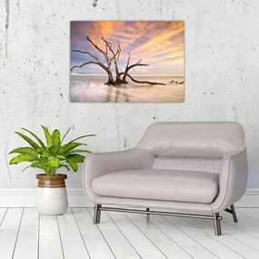 Tablou pe sticlă - Copacul în ocean (70x50 cm)