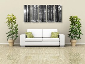 Tablou 5-piese dimineața în pădure în design alb-negru