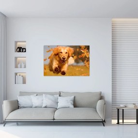 Tablou - Golden Retriever (90x60 cm)
