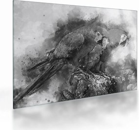 Tablou pe sticlă - Acuarelă papagali (70x50 cm)