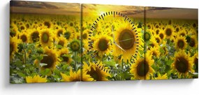 Tablou - Floarea-soarelui la apus de soare (cu ceas) (90x30 cm)