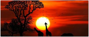 Tablou - Siluete animalelor la apus de soare (120x50 cm)