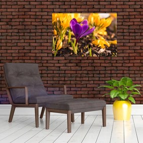 Tablou cu floare violetă (90x60 cm)