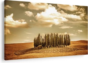 Tablou cu luncă (90x60 cm)