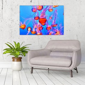 Tablou cu meduse în mare (90x60 cm)