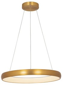 Lustra LED design modern circular Ring 60cm, Brushed Gold Matt