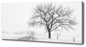 Tablou pe pânză Copac în timpul iernii