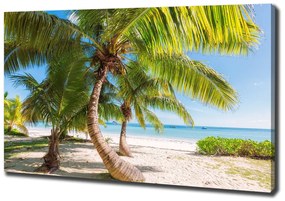 Pictură pe pânză Plaja tropicala