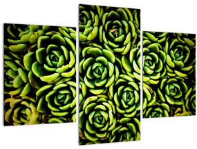 Tablou cu flori de piatră (90x60 cm)