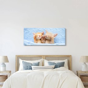 Tablou - Pisicuțe adormite (120x50 cm)