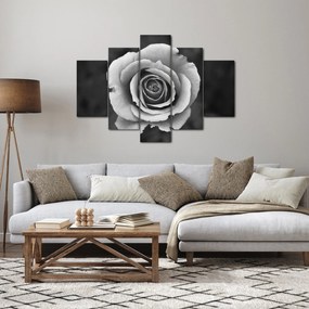 Tablou - Trandafir (150x105 cm)