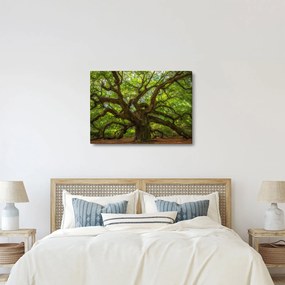 Tablou - Copac verde (70x50 cm)