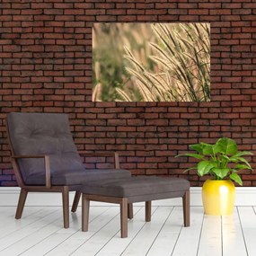 Tablou - Cereale (90x60 cm)